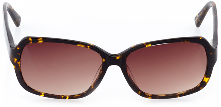 le havre: women's oval sunglasses in brown - front view