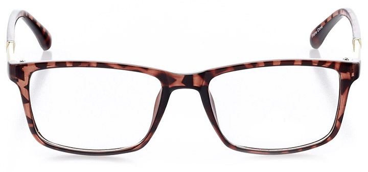 portofino: women's square eyeglasses in tortoise - front view