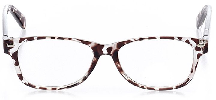 saluzzo: women's square eyeglasses in tortoise - front view