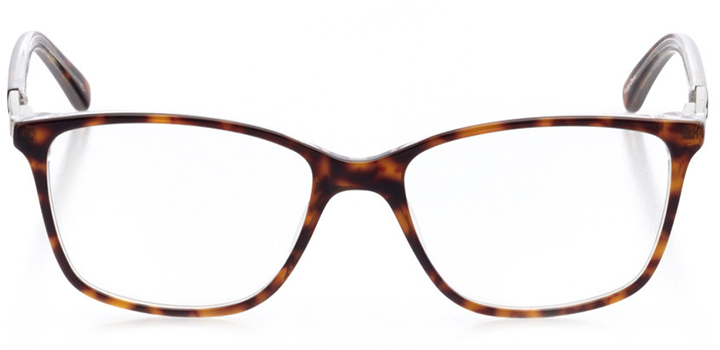 saint petersburg: women's cat eye eyeglasses in tortoise - front view