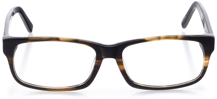 reykjavik: men's rectangle eyeglasses in brown - front view
