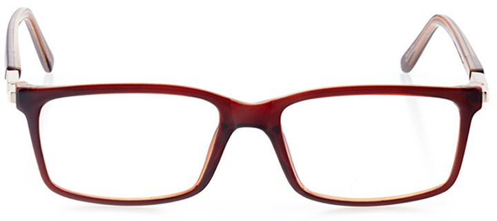 salerno: men's square eyeglasses in brown - front view