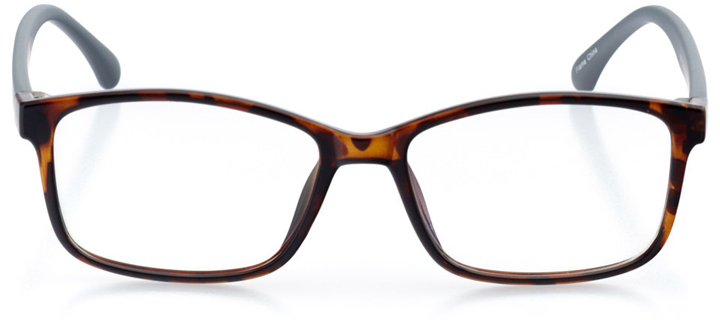 colombo: women's square eyeglasses in tortoise - front view