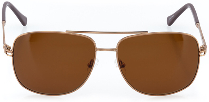 hollywood: men's wrap sunglasses in brown - front view