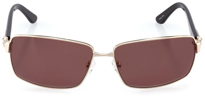 patras: men's rectangle sunglasses in gold - front view