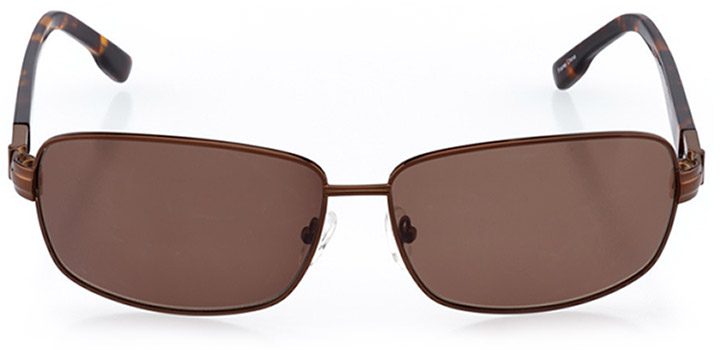 aberdeen: men's rectangle sunglasses in brown - front view