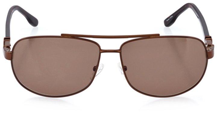 trondheim: men's rectangle sunglasses in brown - front view