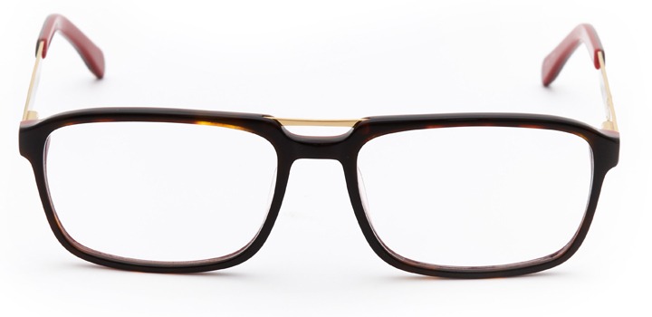 vincennes: men's rectangular eyeglasses in tortoise - front view