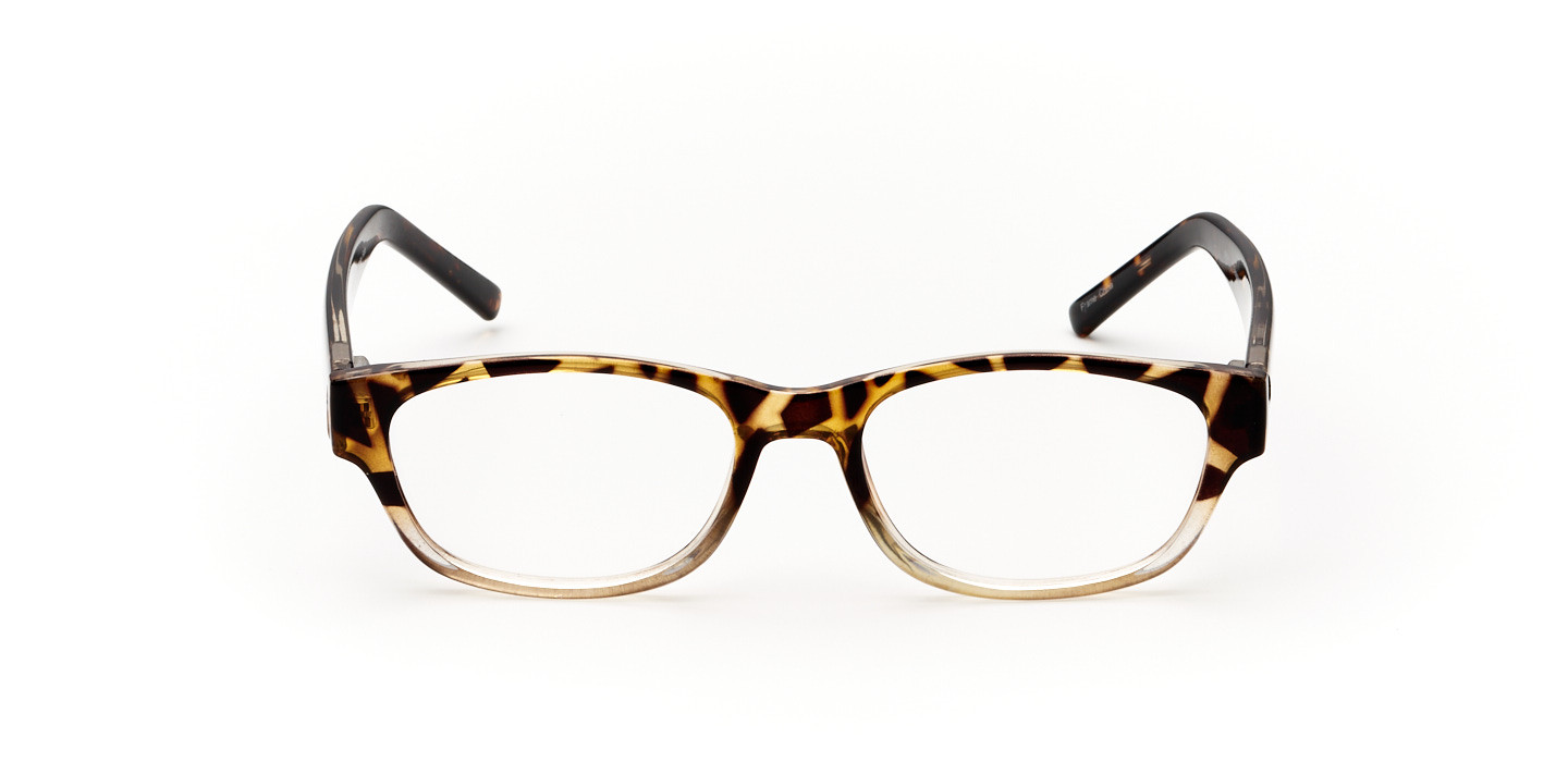 Shepton Wayfare Eyeglasses In Tortoise Stanton Optical 